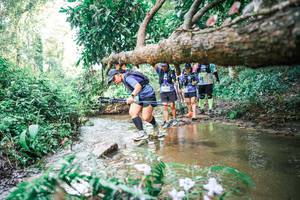 BIB: 
                            <button type="button" onclick="openModal(25517300)" class="btn btn-primary btn-sm float-right btn-popup" data-toggle="modal" data-target=".modal-high-quality">
                        <i class="fas fa-shopping-cart"></i> Add to Cart
                    </button>
                                            <button type="button" onclick="isThisMe(25517300, true)" class="btn btn-success btn-sm float-right btn-popup btn-isme hidden" data-toggle="tooltip" data-placement="bottom" title="นี่คือรูปของคุณใช่ไหม คลิกที่นี่เพื่อเอาเข้าอัลบั้ม">
                        <i class="fas fa-plus"></i> Add to album
                    </button>
                    <button type="button" onclick="isThisMe(25517300, false)" class="btn btn-warning btn-sm float-right btn-popup btn-isnotme hidden">
                        <i class="fas fa-ban"></i> Remove from album
                    </button>